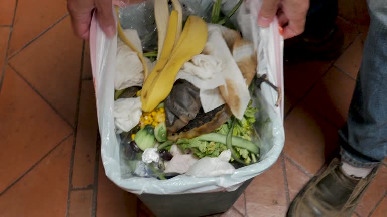 Best Commercial Junk Removal  in Franklin, NJ